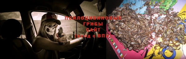 spice Заволжск