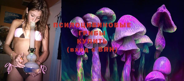 spice Заволжск
